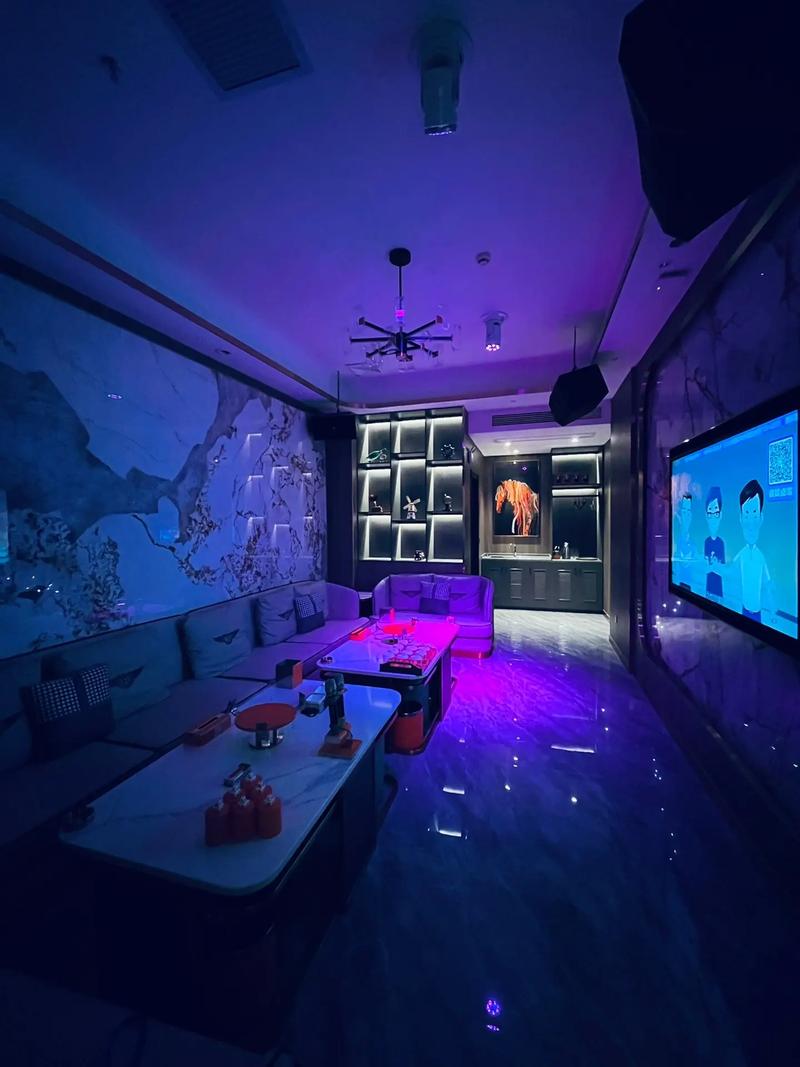 邢台商务ktv解释-任县ktv预订